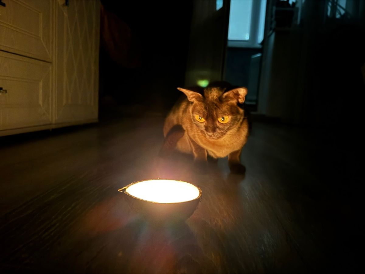 29 августа по ряду адресов в Туле не будет света 29 августа по ряду адресов в Туле не будет света