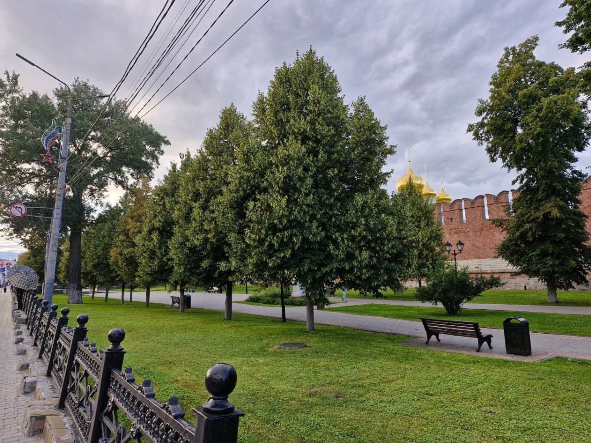 Днем 29 августа в Тульской области будет тепло и сухо Днем 29 августа в Тульской области будет тепло и сухо