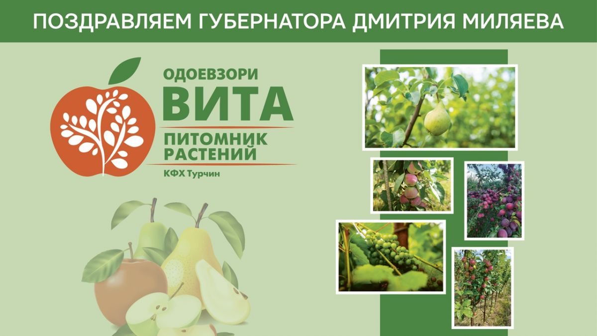 Николай Турчин: «Губернатор обеспечивает продовольственную безопасность региона». Николай Турчин: «Губернатор обеспечивает продовольственную безопасность региона».