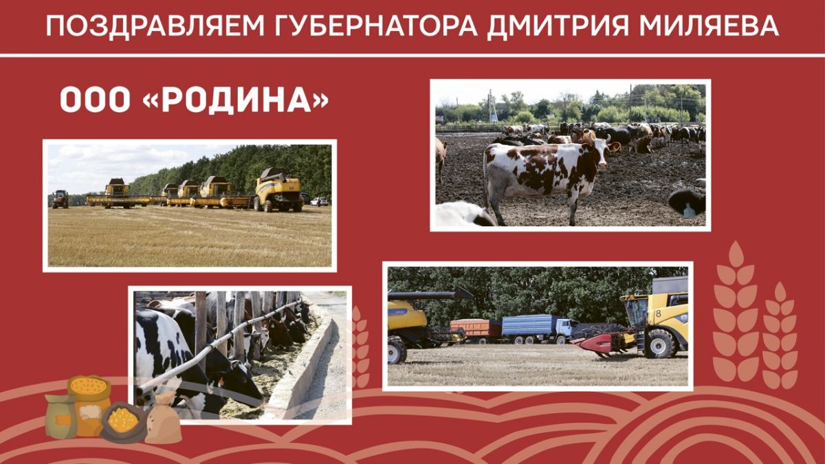Александр Чурилов: «Сообща мы намолотим 3 миллиона тонн зерна» Александр Чурилов: «Сообща мы намолотим 3 миллиона тонн зерна»