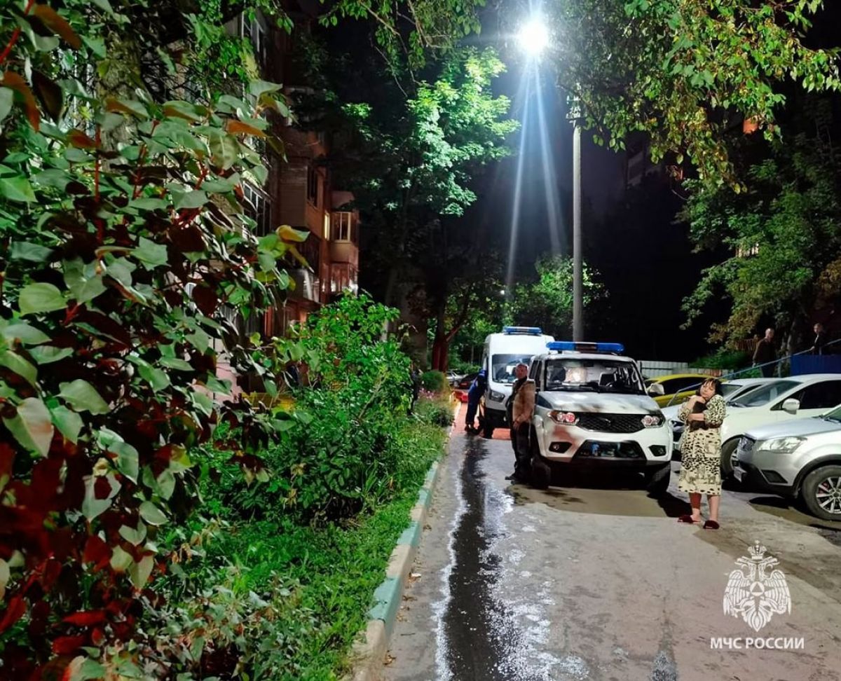 Тульские огнеборцы потушили за сутки квартиру, две заброшки и мусорный контейнер Тульские огнеборцы потушили за сутки квартиру, две заброшки и мусорный контейнер