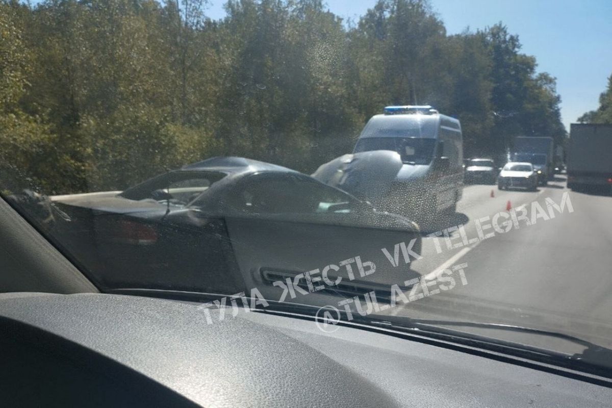 В Тульской области сбили лося В Тульской области сбили лося