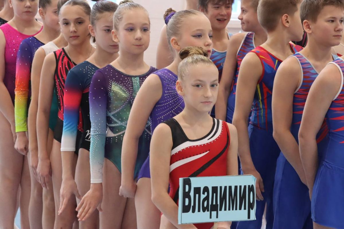 В Туле стартовали межрегиональные соревнования по спортивной гимнастике В Туле стартовали межрегиональные соревнования по спортивной гимнастике