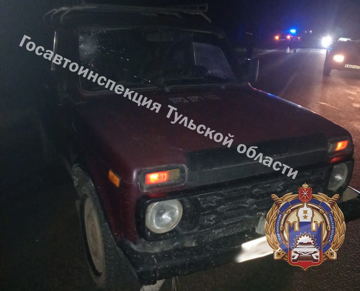 В Тульской области водитель «Лада» насмерть сбил женщину