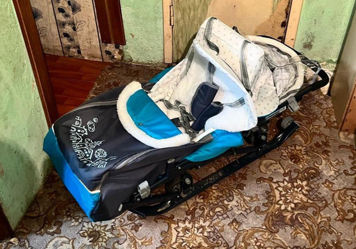 В Богородицке Тульской области задержали воровку санок-коляски В Богородицке Тульской области задержали воровку санок-коляски