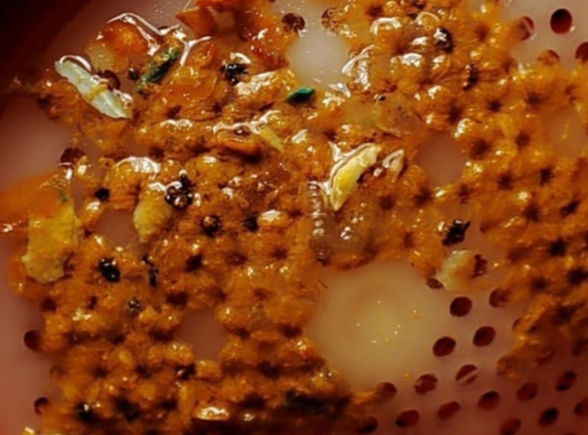 Появление червей в узловском водопроводе Тульской области связано с состоянием сетей водоснабжения Появление червей в узловском водопроводе Тульской области связано с состоянием сетей водоснабжения