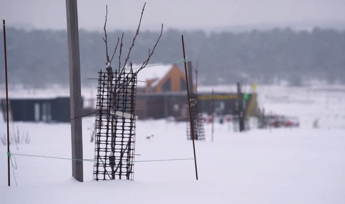 Место отдыха из Тульской области попало в топ-20 самых интересных глэмпингов России Место отдыха из Тульской области попало в топ-20 самых интересных глэмпингов России