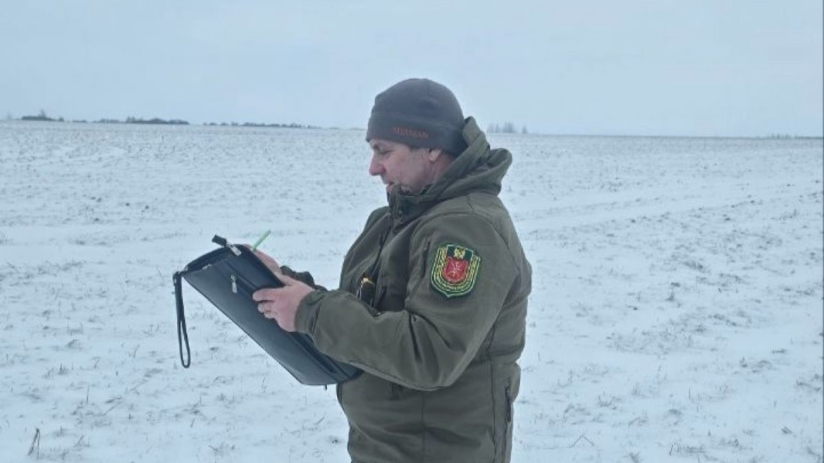 Стало известно, сколько в Тульской области птиц, копытных и пушных зверей Стало известно, сколько в Тульской области птиц, копытных и пушных зверей