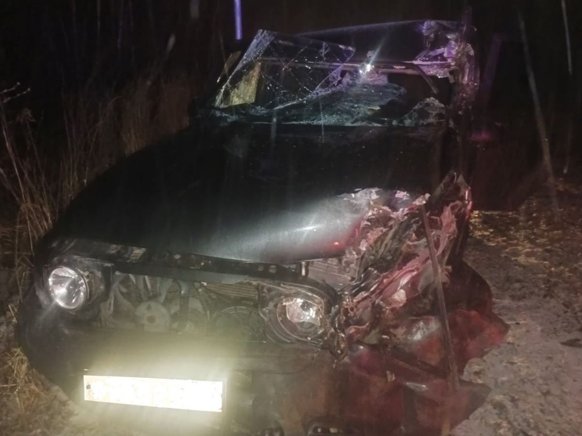 В Тульской области «Тагаз» протаранил грузовик