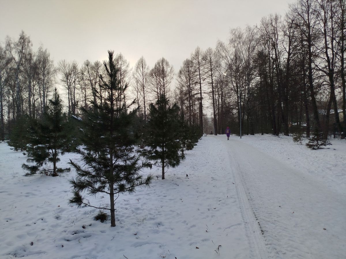 Тулякам объяснили введение пропускного режима в Рогожинском парке Тулякам объяснили введение пропускного режима в Рогожинском парке