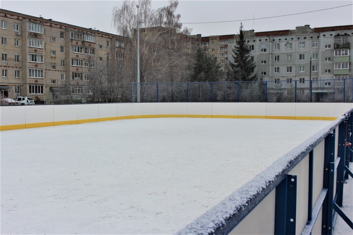 В Алексине Тульской области установили хоккейную коробку В Алексине Тульской области установили хоккейную коробку