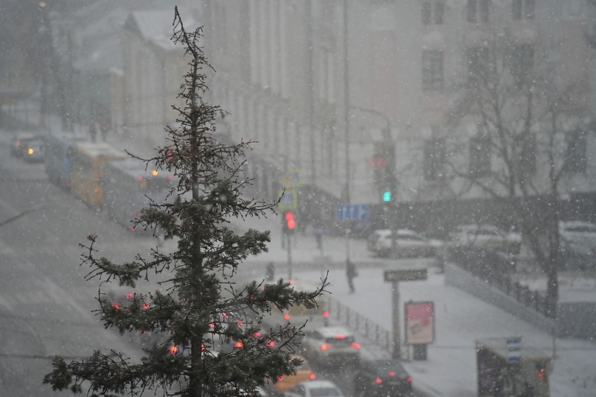Какая погода будет в Тульской области днем 6 января Какая погода будет в Тульской области днем 6 января