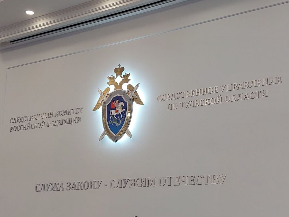 Бастрыкину доложат о расследовании дела с нападением собак на девочку в Туле Бастрыкину доложат о расследовании дела с нападением собак на девочку в Туле