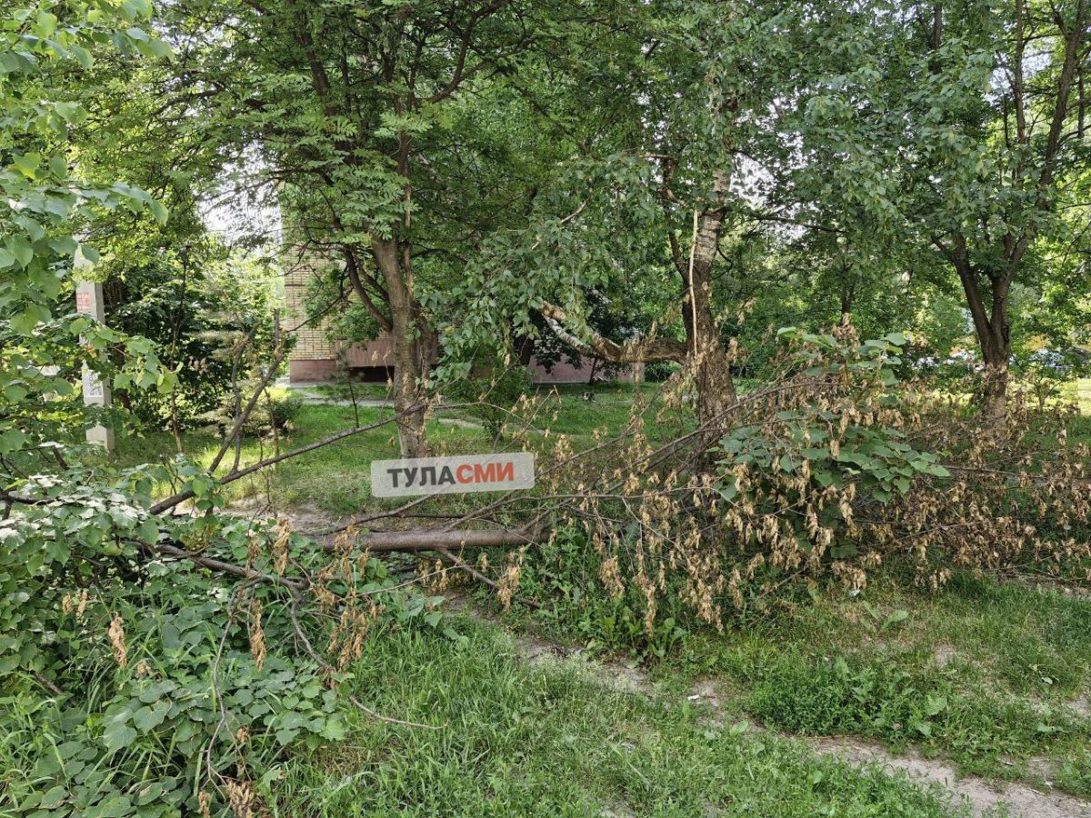 В тульском Заречье 1,5 месяца лежит сломанное дерево В тульском Заречье 1,5 месяца лежит сломанное дерево
