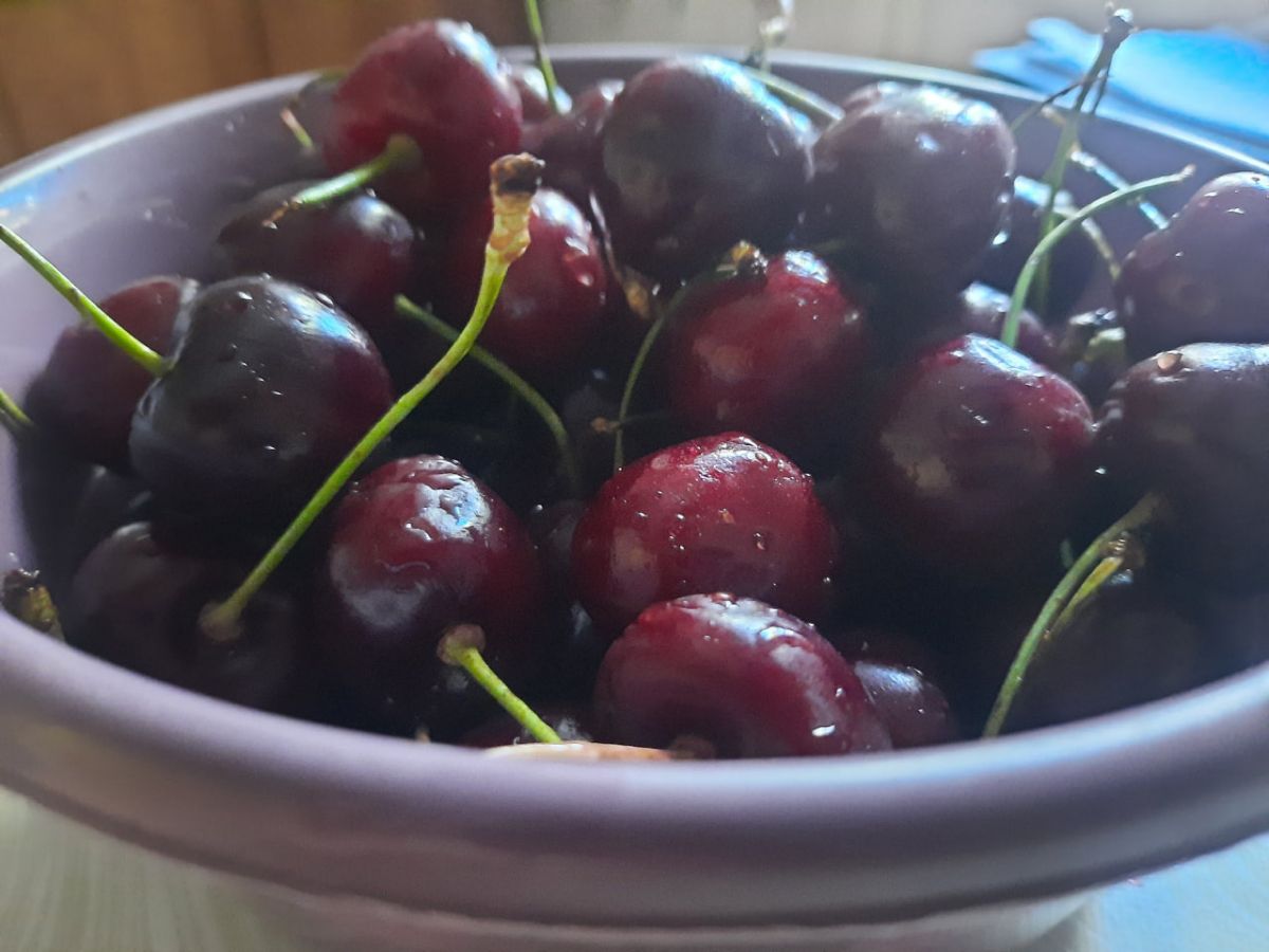 Черешня поможет тулякам укрепить сердечно-сосудистую систему Черешня поможет тулякам укрепить сердечно-сосудистую систему