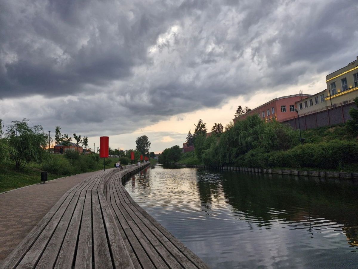 Днем в Тульской области возможна гроза