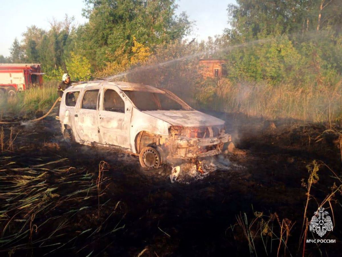 В Донском Тульской области загорелся автомобиль