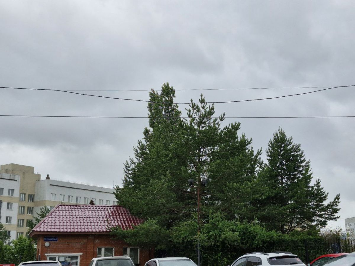 Тульскую область ожидают кратковременные дожди