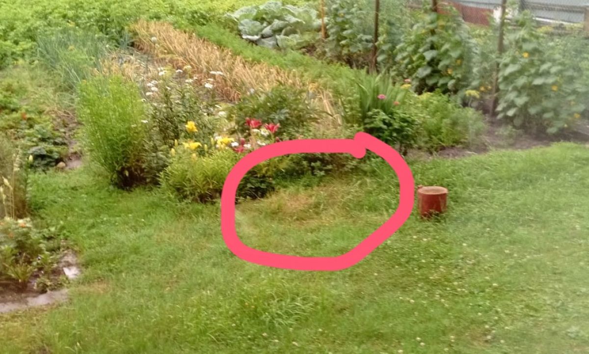 Жители Бунырева поделились впечатлениями от грозы, погубившей несколько человек