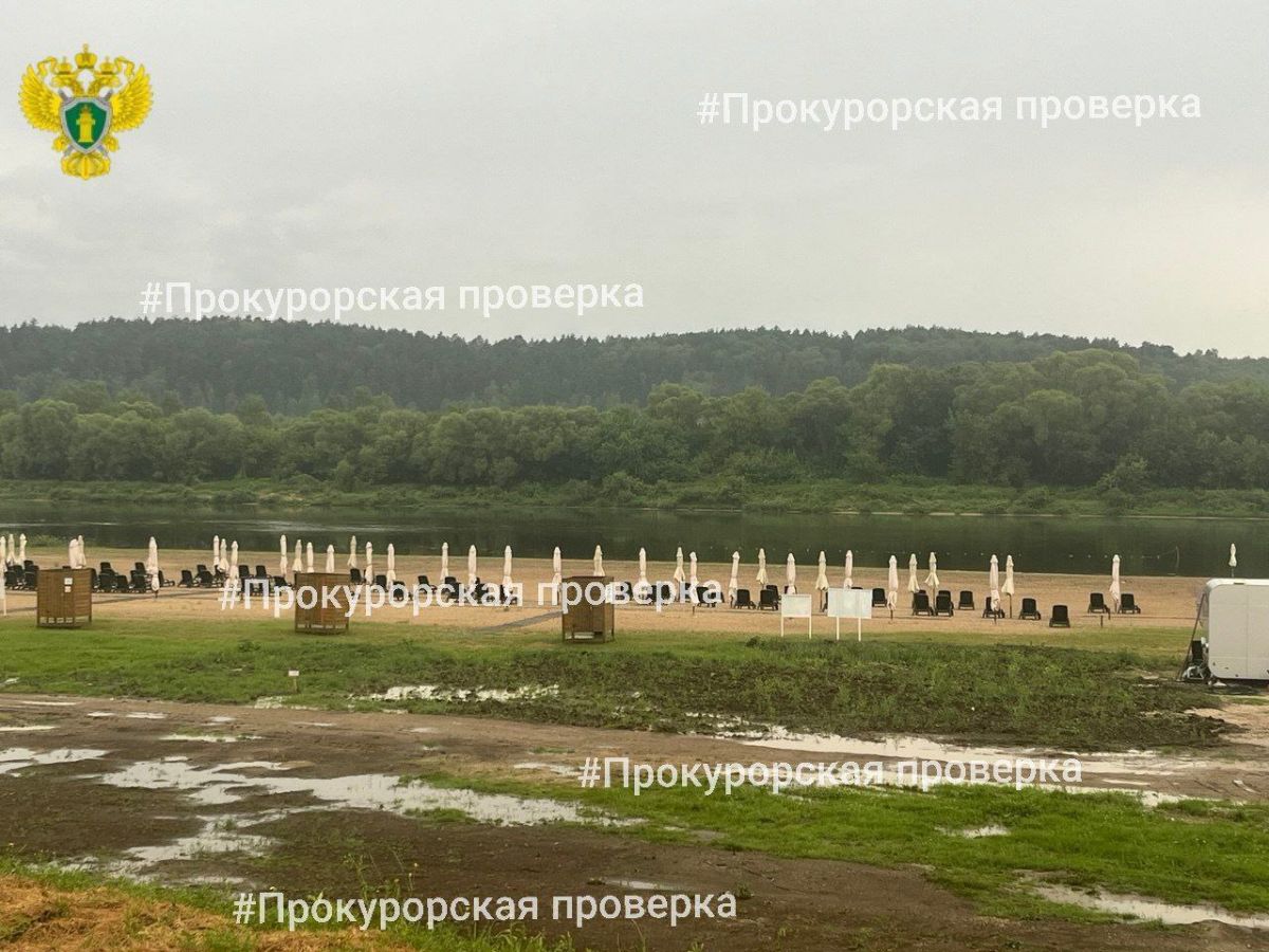 Стало известно, кто пострадал от удара молнии под Алексином в Тульской области