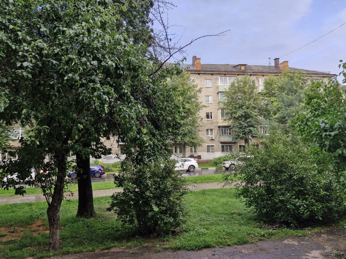 Днем 15 июля в Тульской области будет дождливо Днем 15 июля в Тульской области будет дождливо