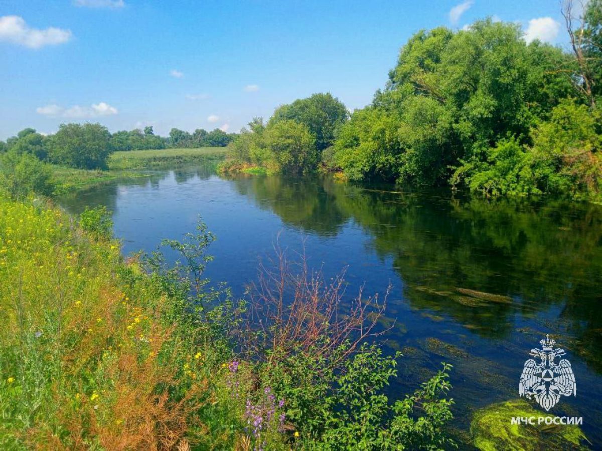 В Тульской области из Красивой Мечи извлекли тело мужчины