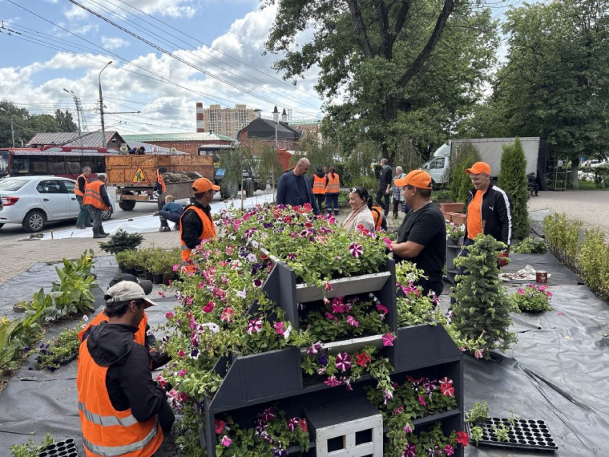 В Туле появится еще одна зеленая зона В Туле появится еще одна зеленая зона