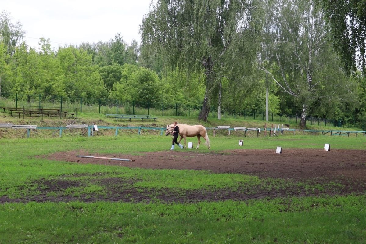 В Новомосковске приступили к созданию плаца для занятия верховой ездой В Новомосковске приступили к созданию плаца для занятия верховой ездой