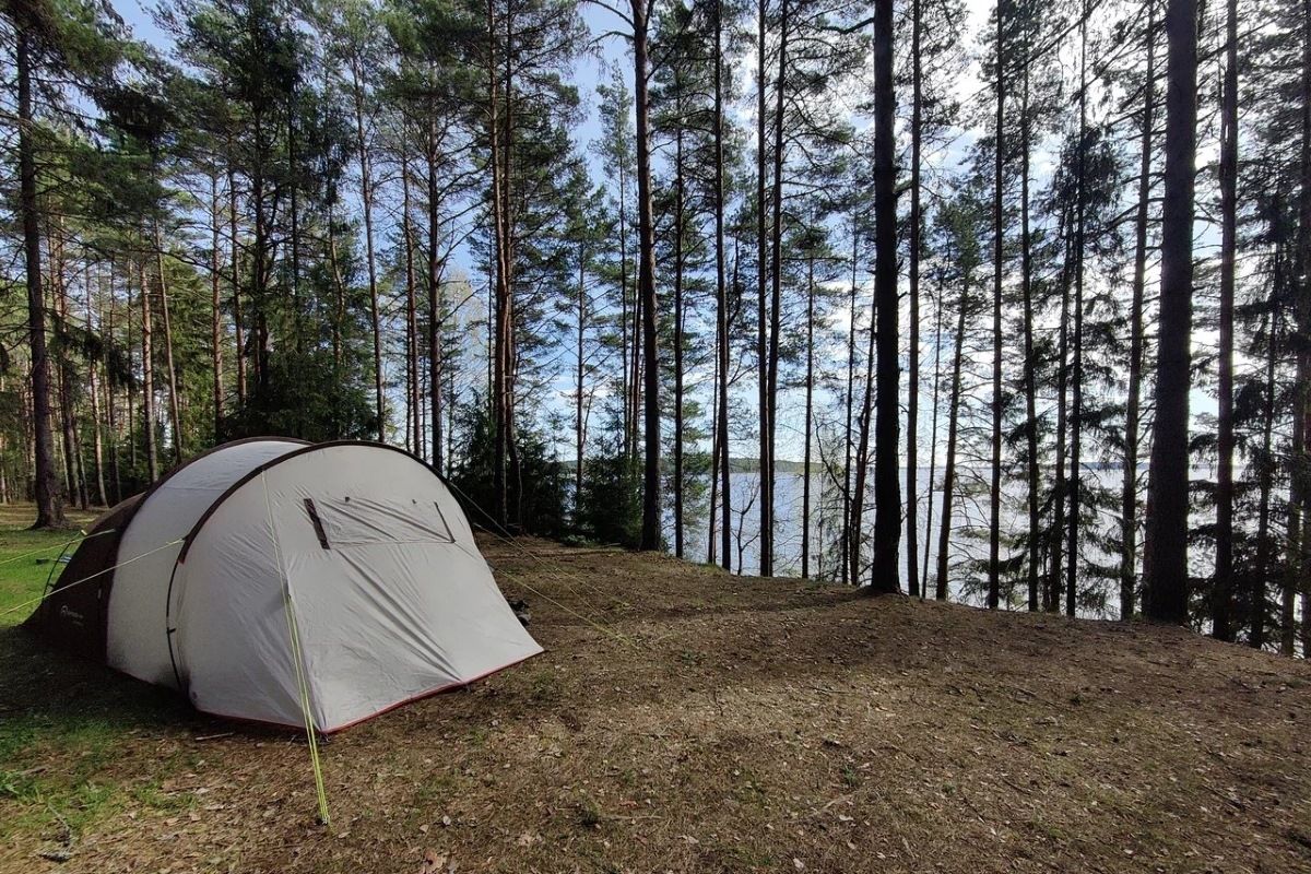 Тулякам дали рекомендации, как сделать поход с детьми безопасным Тулякам дали рекомендации, как сделать поход с детьми безопасным