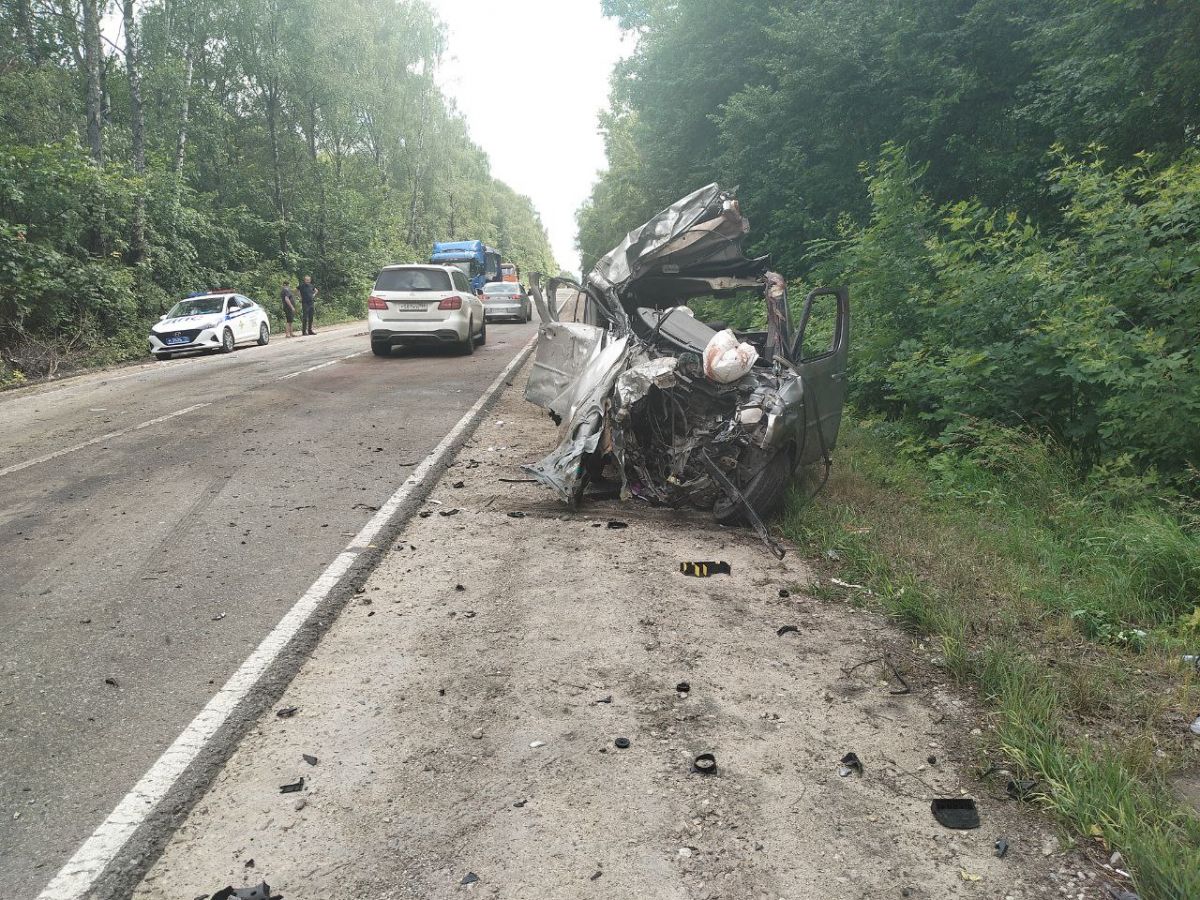 В Тульской области из-за диких животных произошло шесть серьезных аварий В Тульской области из-за диких животных произошло шесть серьезных аварий