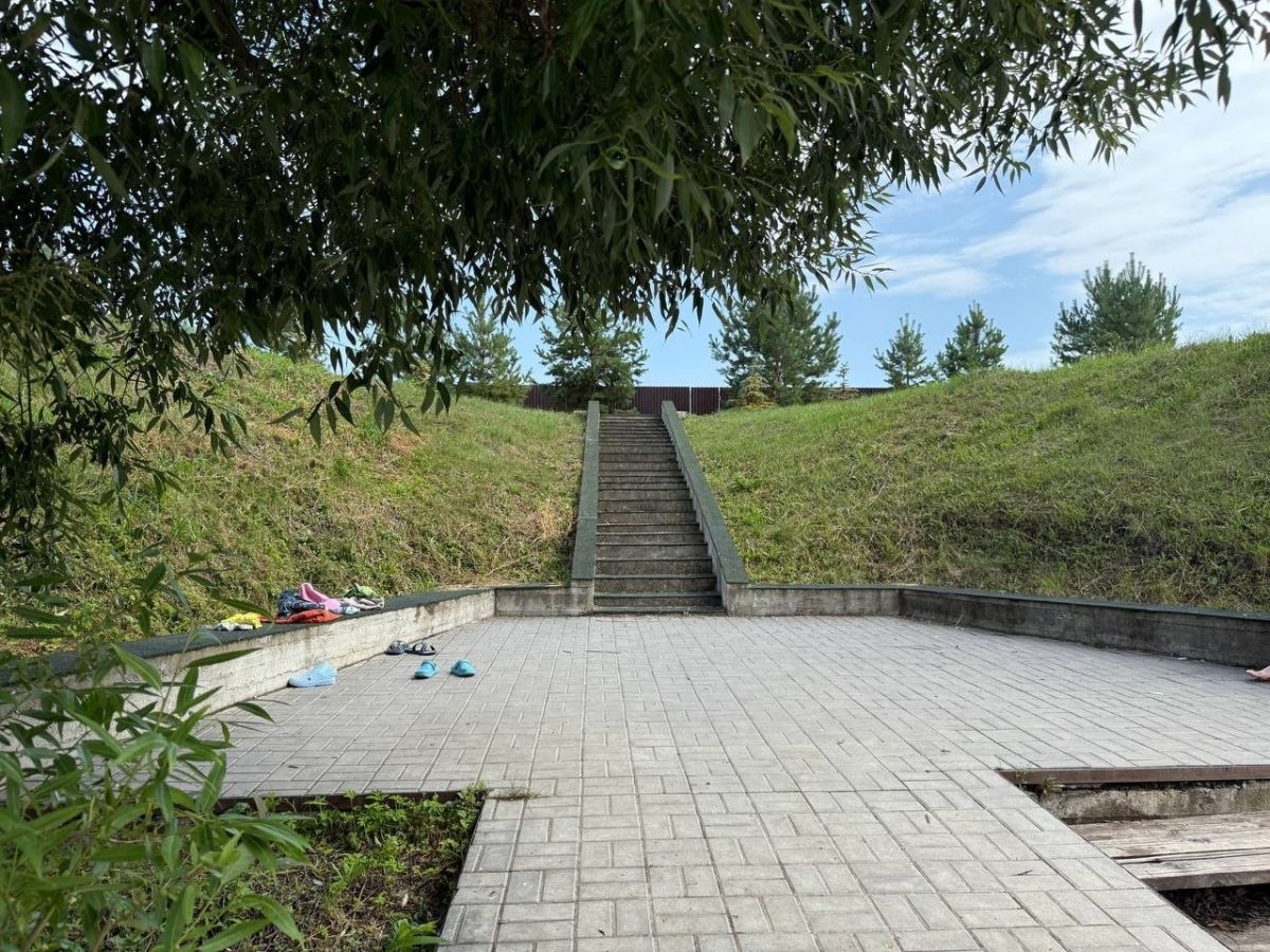 Днем 29 июля в Тульской области ожидается жара