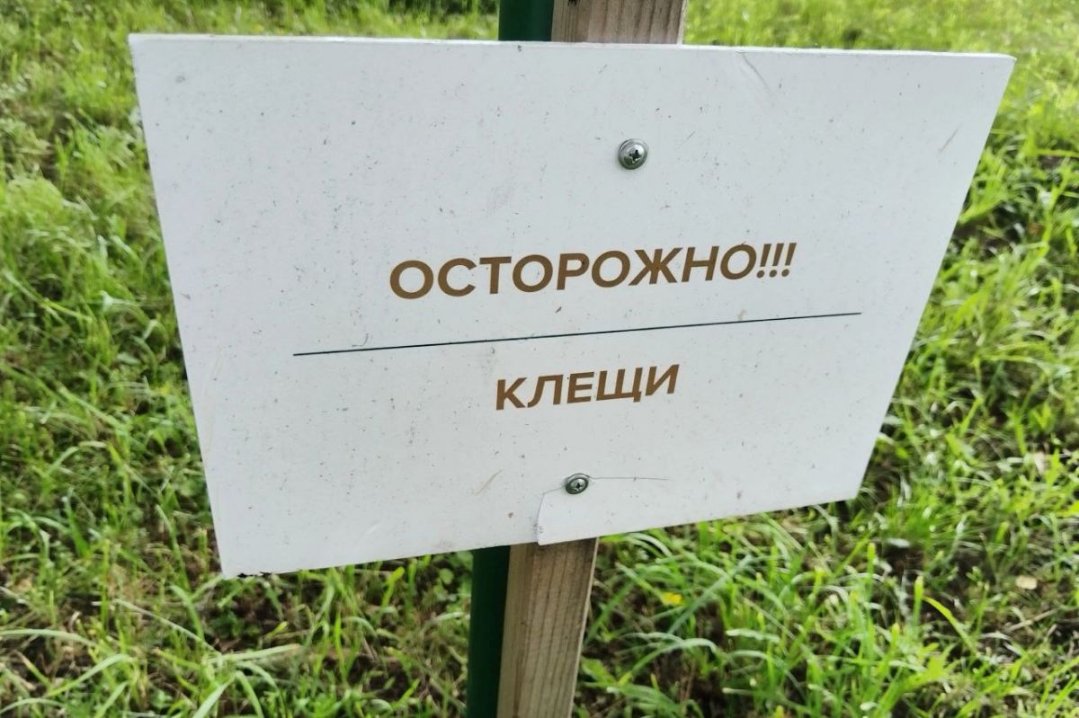 Рост числа укусов клещей в Тульской области Рост числа укусов клещей в Тульской области