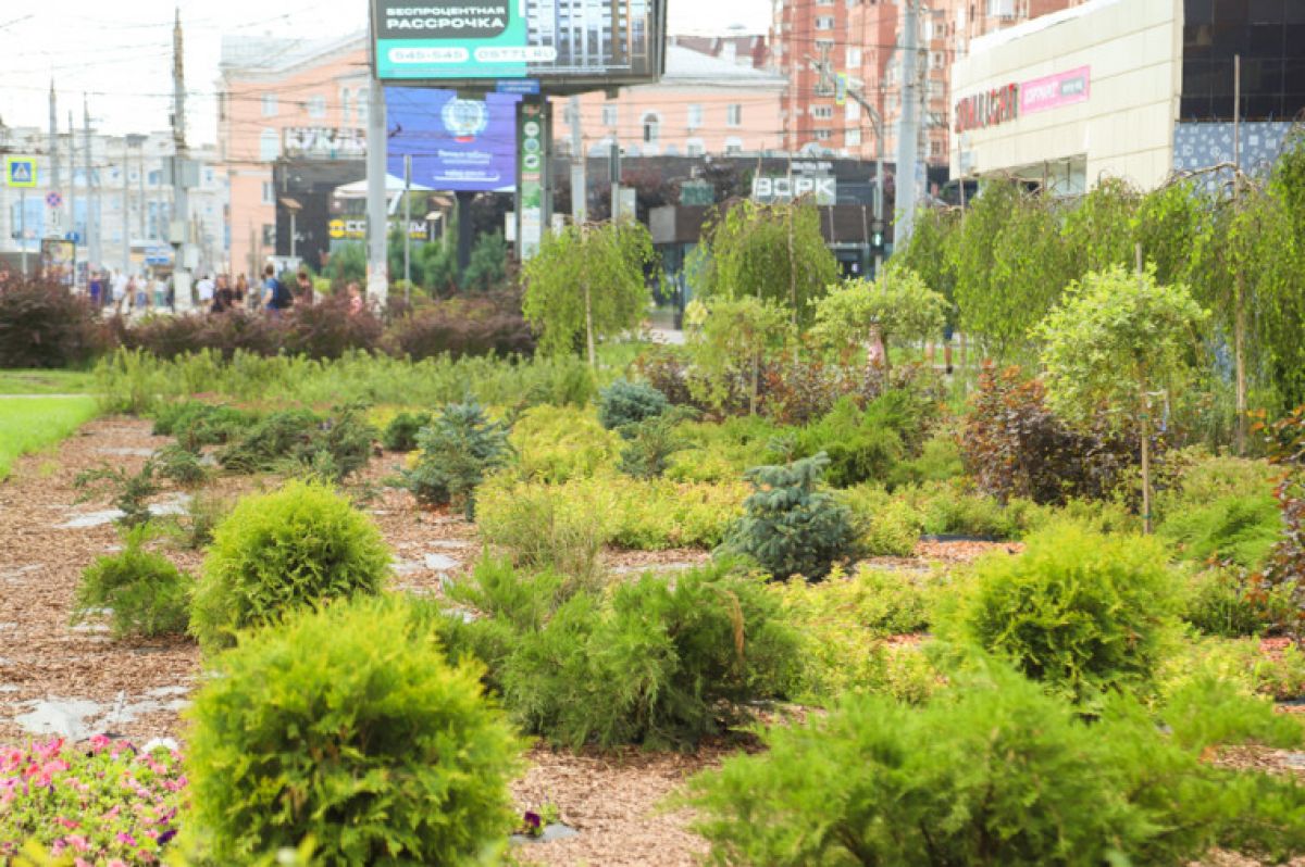 Тульские дизайнеры разработали проекты зеленых зон в центре города