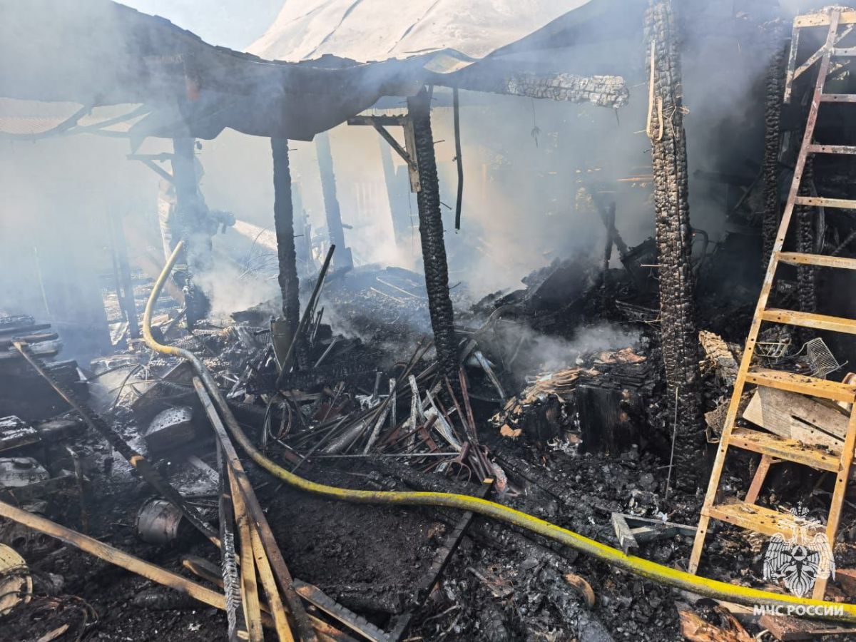 В Большой Туле пожарные около 40 минут тушили горящие сарай и вольер В Большой Туле пожарные около 40 минут тушили горящие сарай и вольер