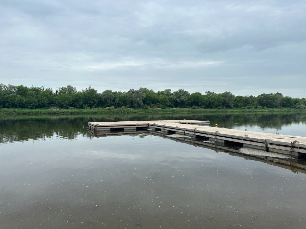 Трагедия в Донском: при купании погиб 9-летний мальчик Трагедия в Донском: при купании погиб 9-летний мальчик