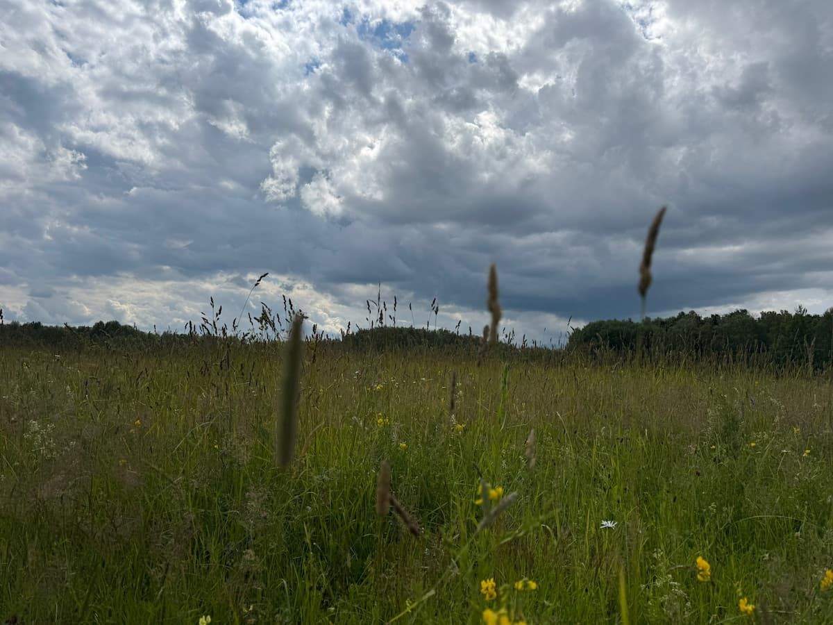 Жителей Тульской области ждет сухая и прохладная ночь Жителей Тульской области ждет сухая и прохладная ночь