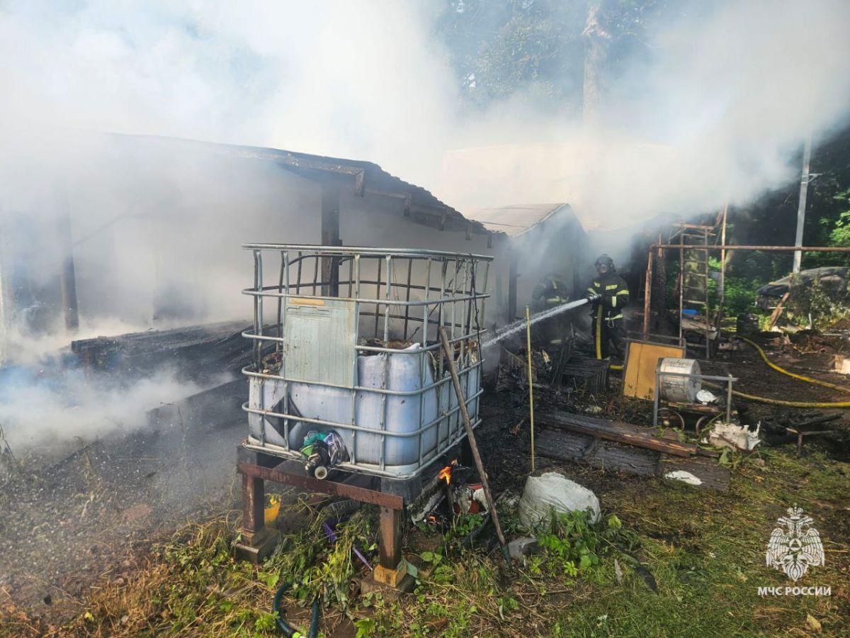 Заброшка, магазин и сараи сгорели в Тульской области Заброшка, магазин и сараи сгорели в Тульской области