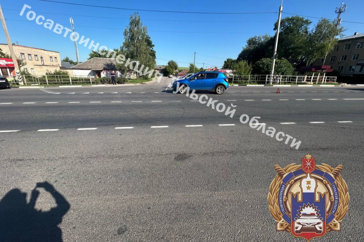 В Тульской области иномарка сбила перебегавшую дорогу девочку В Тульской области иномарка сбила перебегавшую дорогу девочку