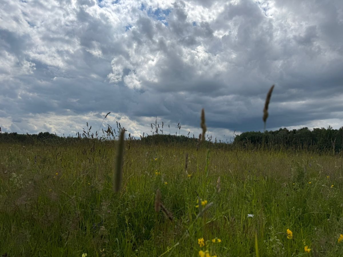 Жителя Тульской области оштрафовали за нанесение побоев земляку из-за быка