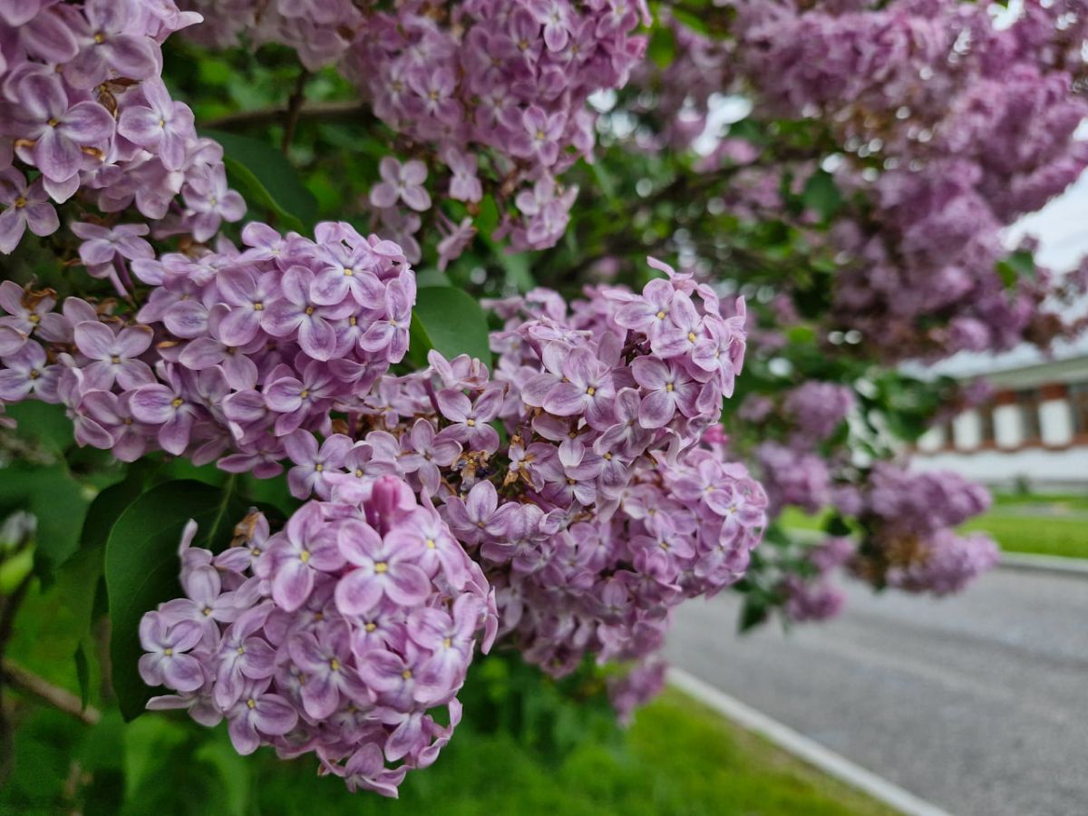 Сегодня днем туляки столкнутся с низким атмосферным давлением Сегодня днем туляки столкнутся с низким атмосферным давлением