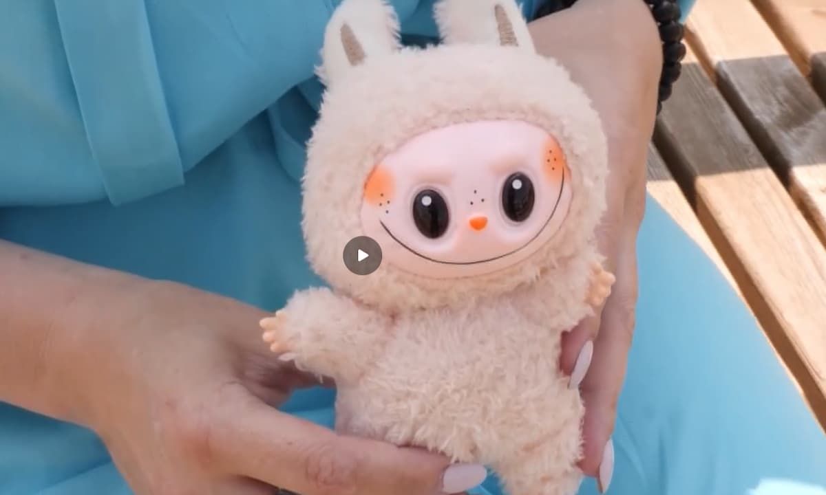 Эксперты рассказали жителям Тульской области, опасны ли лабубу для детской психики Эксперты рассказали жителям Тульской области, опасны ли лабубу для детской психики