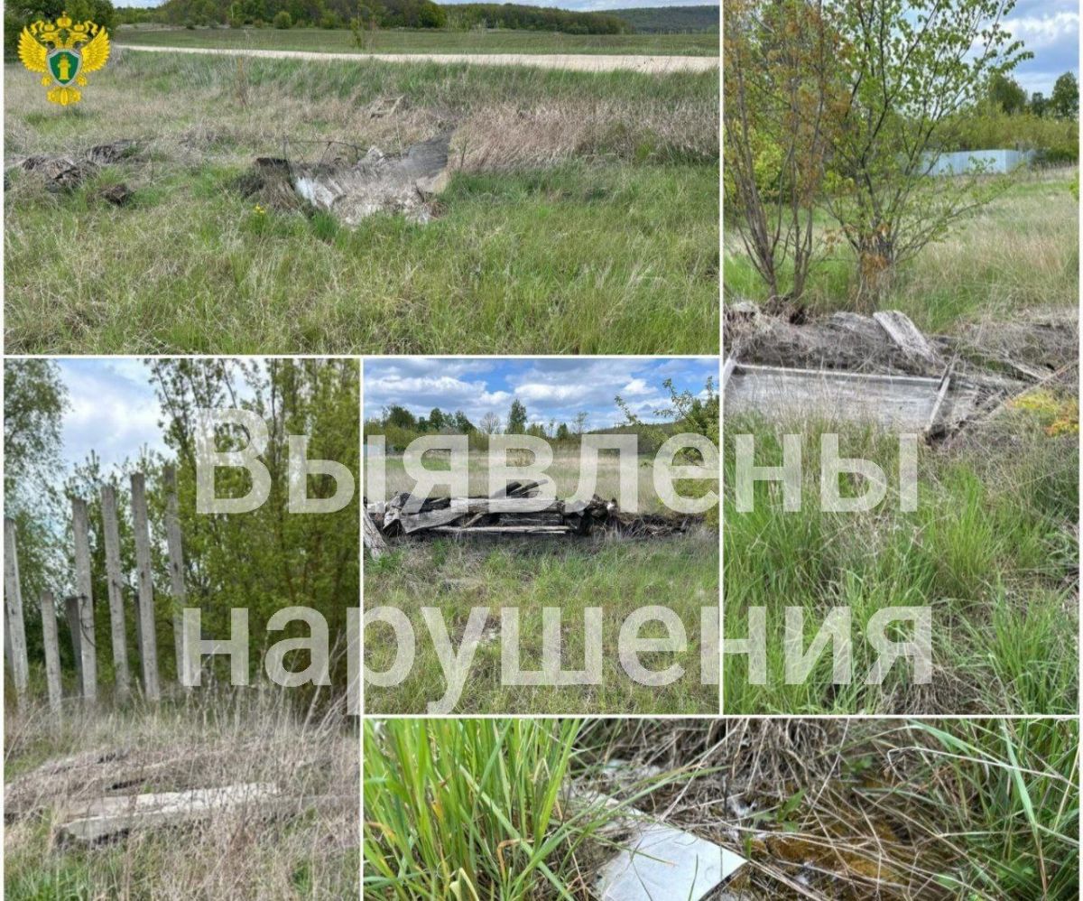 Под Ефремовом дорога к детскому лагерю завалена мусором Под Ефремовом дорога к детскому лагерю завалена мусором