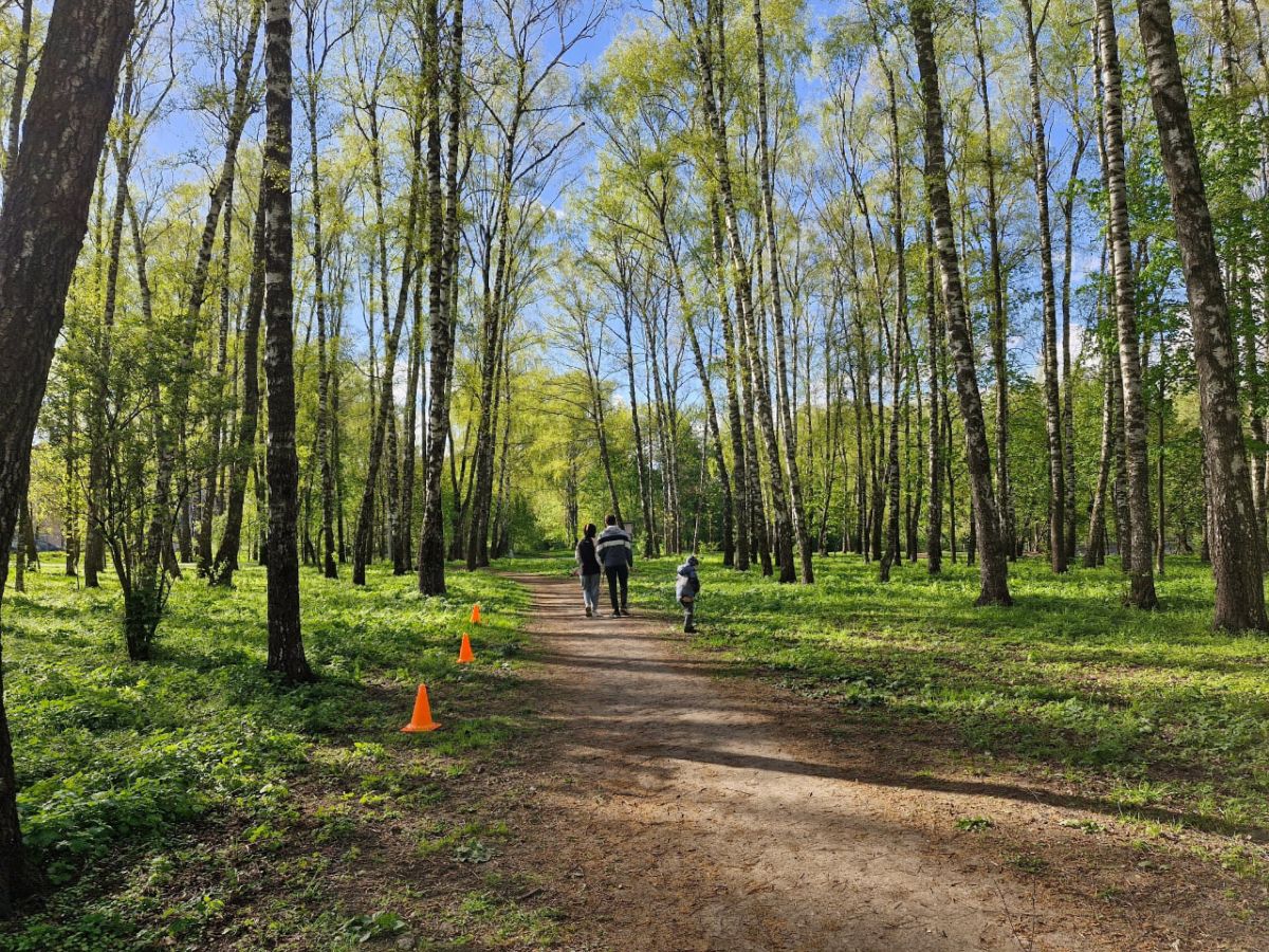 Тульским студенткам могут увеличить пособия по беременности и родам Тульским студенткам могут увеличить пособия по беременности и родам
