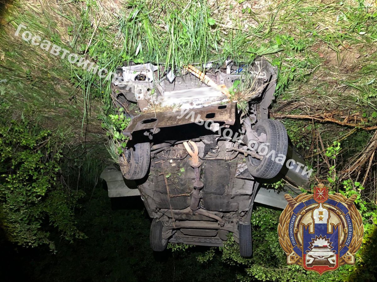 В Тульской области неопытный водитель столкнулся с лосем и погиб В Тульской области неопытный водитель столкнулся с лосем и погиб