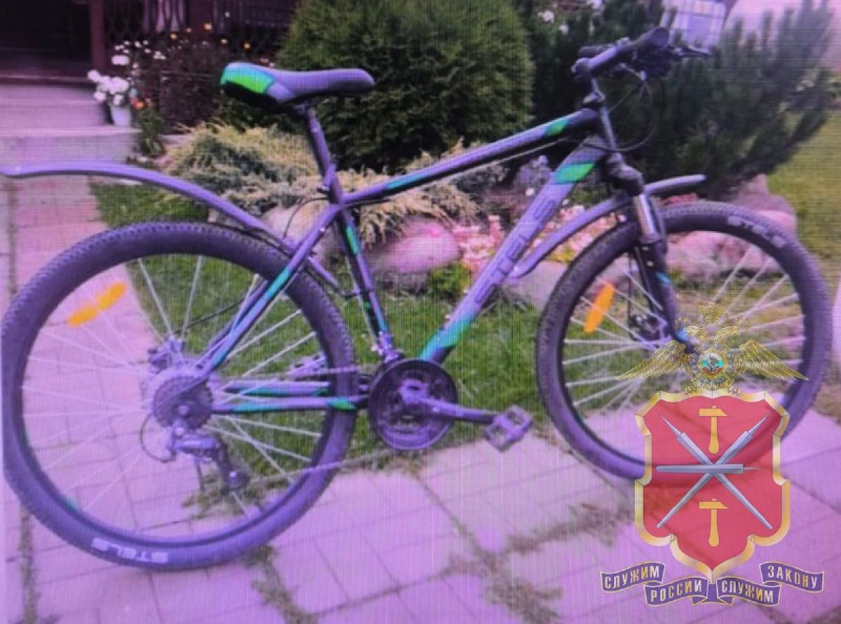 В Узловой мужчина с криминальным прошлым позарился на чужой велосипед