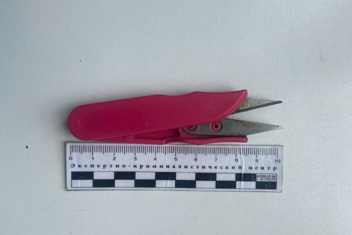 В Тульской области на женщину завели административное дело из-за ножниц в сумочке В Тульской области на женщину завели административное дело из-за ножниц в сумочке