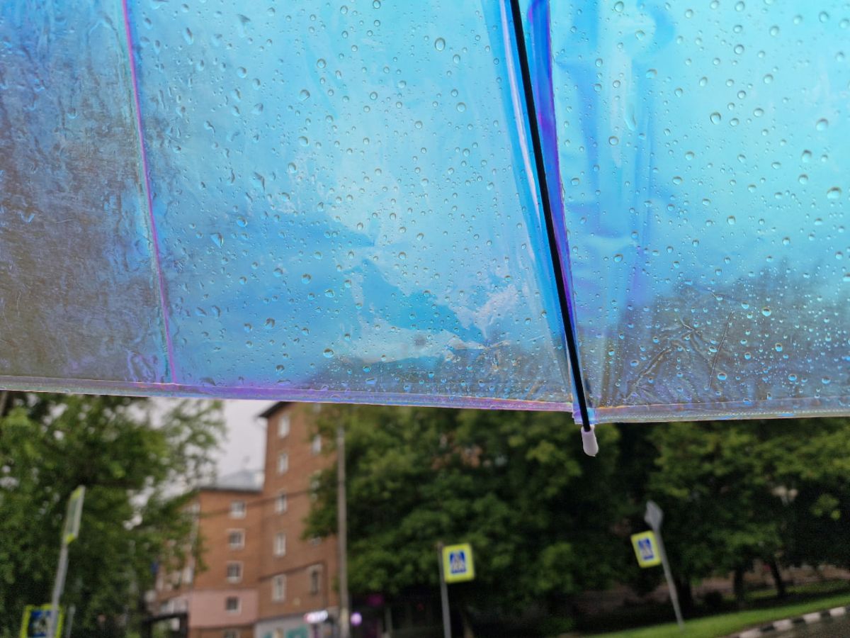 Днем в Тульской области ожидается кратковременный дождь Днем в Тульской области ожидается кратковременный дождь