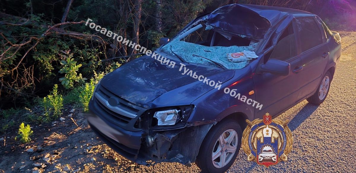 На трассе в Тульской области мужчина на автомобиле «Лада Гранта» врезался в лося На трассе в Тульской области мужчина на автомобиле «Лада Гранта» врезался в лося