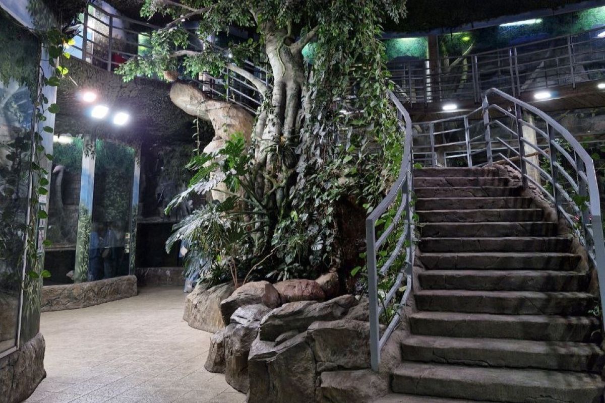 Россельхознадзор остался недоволен условиями содержания карликовых свиней и обезьян в тульском экзотариуме