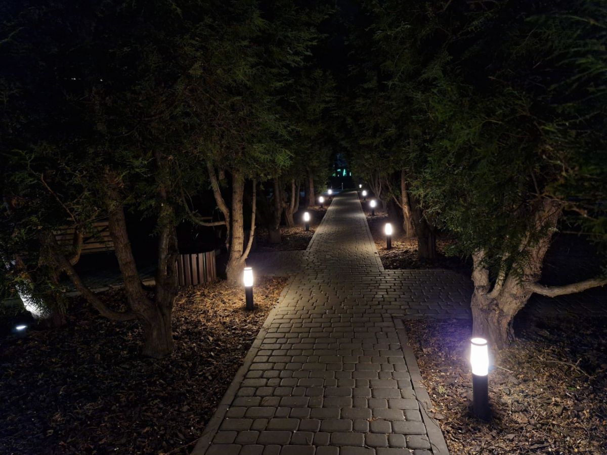 Какая погода ожидается в Тульской области ночью Какая погода ожидается в Тульской области ночью